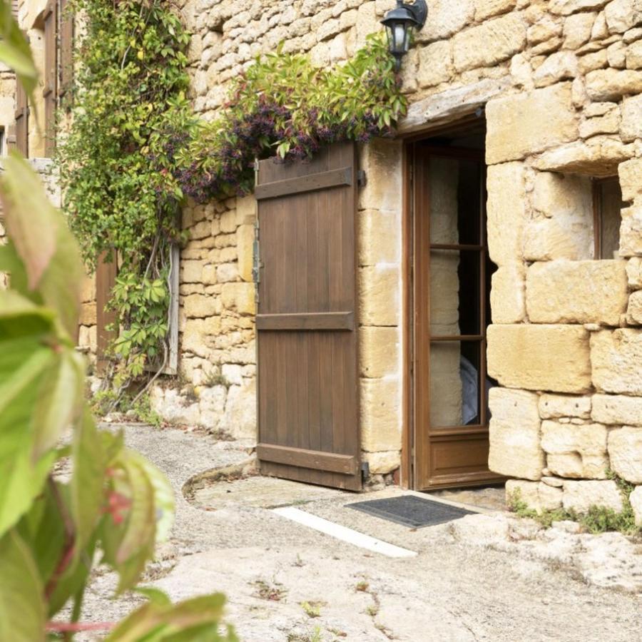 Domaine De Cantegrel - Gites De Charme Et Suite Troglodyte En Perigord Vitrac  Kültér fotó