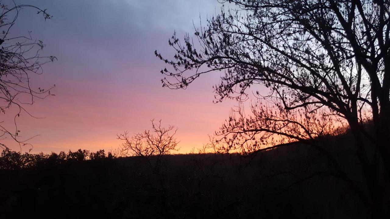 Domaine De Cantegrel - Gites De Charme Et Suite Troglodyte En Perigord Vitrac  Kültér fotó