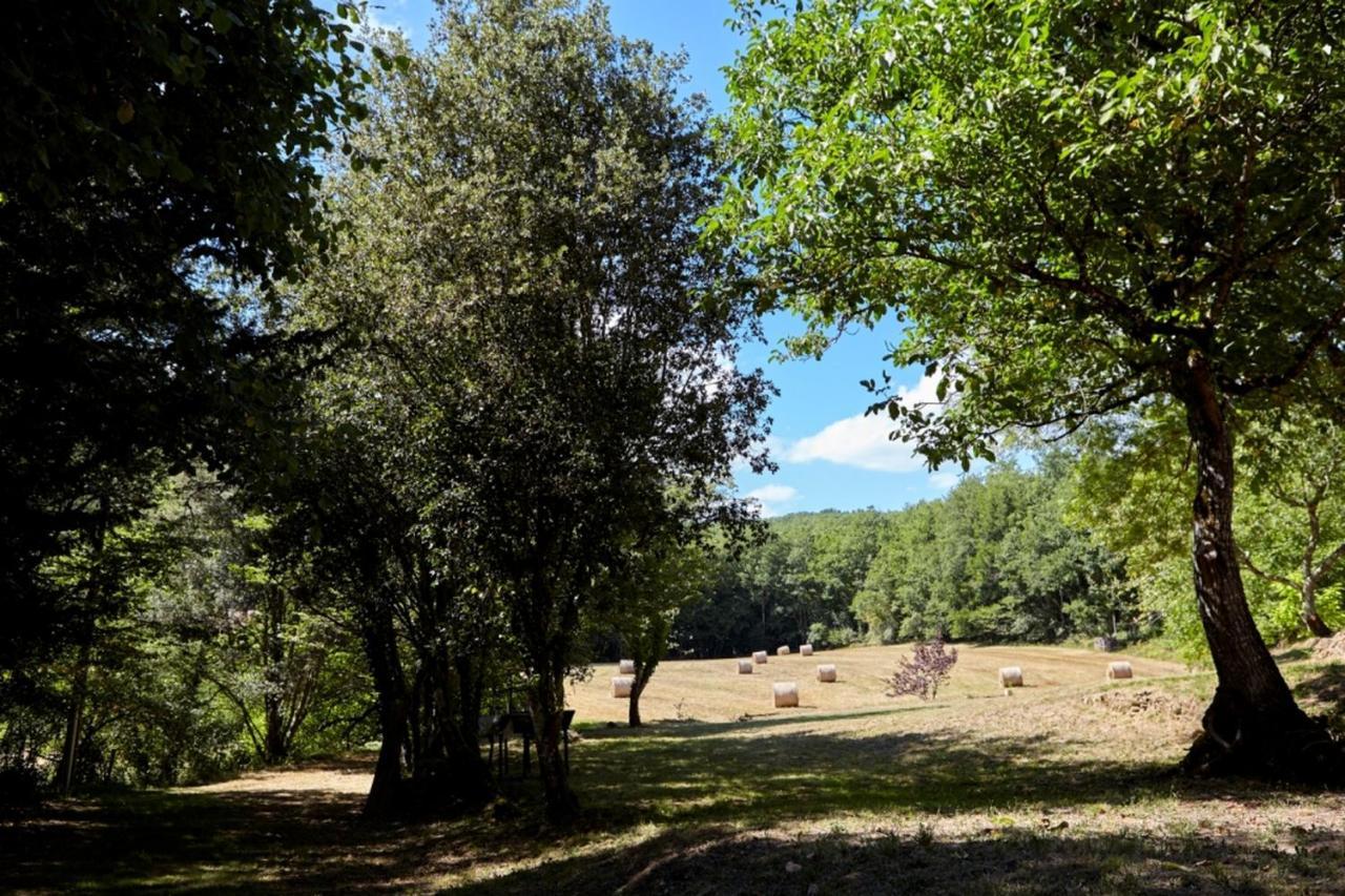 Domaine De Cantegrel - Gites De Charme Et Suite Troglodyte En Perigord Vitrac  Kültér fotó