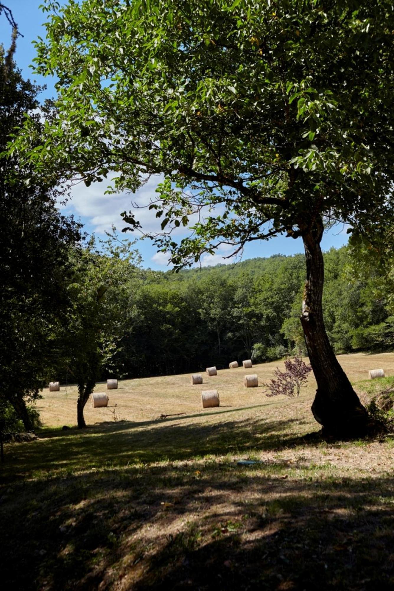 Domaine De Cantegrel - Gites De Charme Et Suite Troglodyte En Perigord Vitrac  Kültér fotó